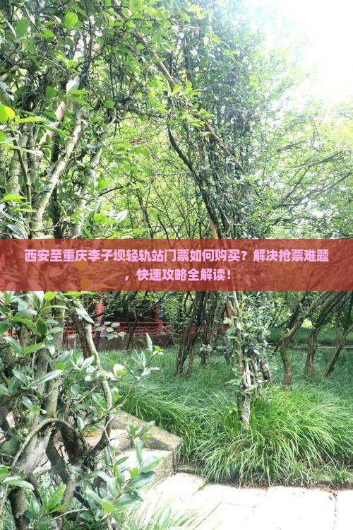 西安至重庆李子坝轻轨站门票如何购买？解决抢票难题，快速攻略全解读！