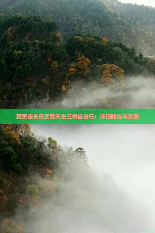 莱芜去重庆武隆天生三桥自由行：详细路线与攻略