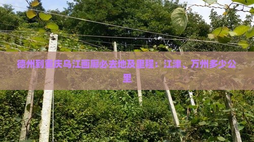 德州到重庆乌江画廊必去地及里程：江津、万州多少公里