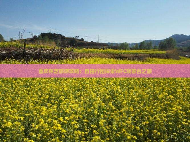 重庆林芝旅游攻略：自由行团探索WFC观景台之旅