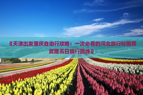 《天津出发重庆自由行攻略：一次必看的河北旅行社推荐武隆五日旅行路线》