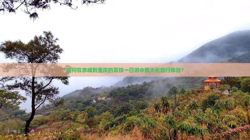 如何在赤峰到重庆的高铁一日游中最大化旅行体验？