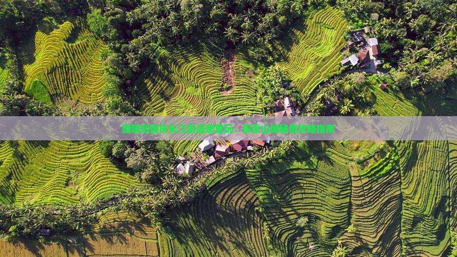 醴陵到重庆长江索道哪里玩:探索山城秘境攻略指南 醴陵到重庆长江索道哪里玩:探索山城秘境攻略指南