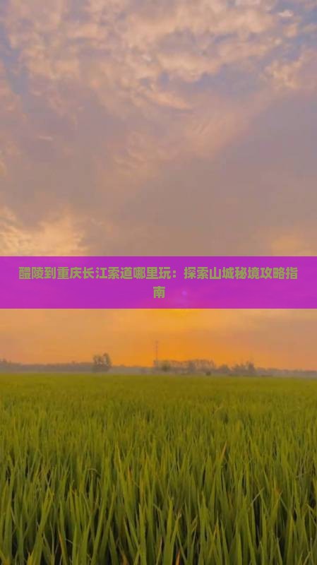 醴陵到重庆长江索道哪里玩:探索山城秘境攻略指南 醴陵到重庆长江索道哪里玩:探索山城秘境攻略指南