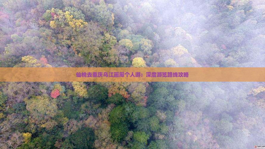 仙桃去重庆乌江画廊个人游：深度游览路线攻略