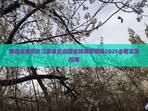 商丘去重庆长江索道自由团