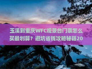 玉溪到重庆wfc观景台门票