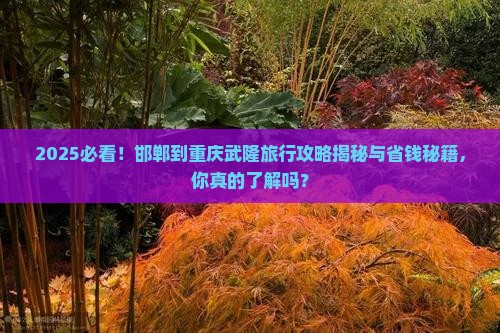 邯郸到重庆武隆旅行社