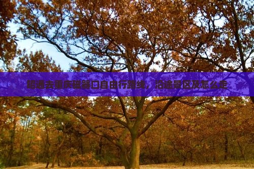 昭通去重庆磁器口自由行