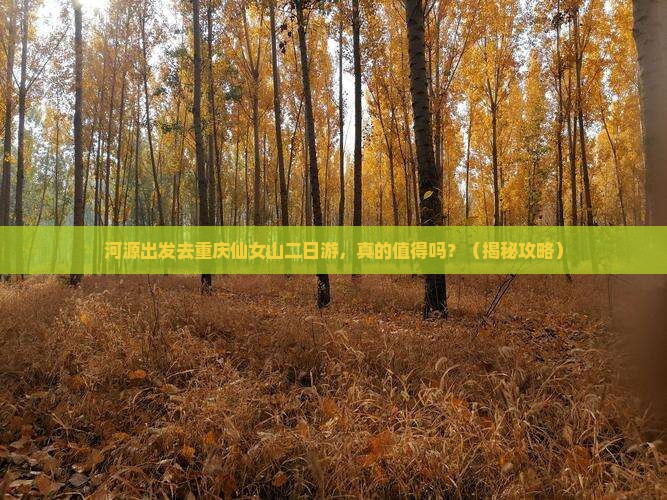 河源去重庆仙女山二日游
