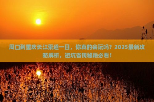 周口到重庆长江索道一日