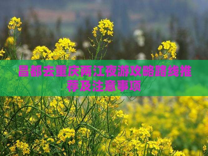 昌都去重庆两江夜游攻略