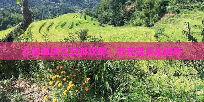 北海去重庆三日游