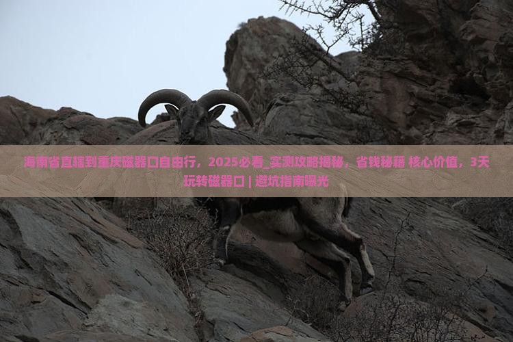 海南省直辖到重庆磁器口自由行
