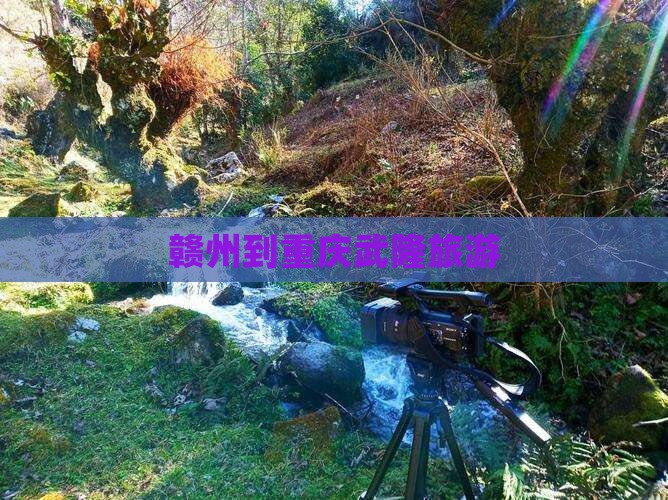 赣州到重庆武隆旅游