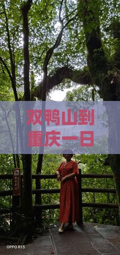 双鸭山到重庆一日