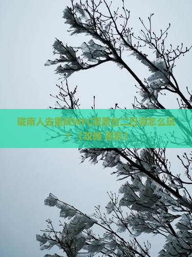 陇南去重庆wfc观景台二日游