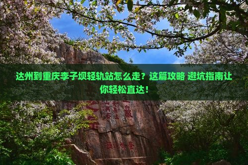 达州到重庆李子坝轻轨站旅行社