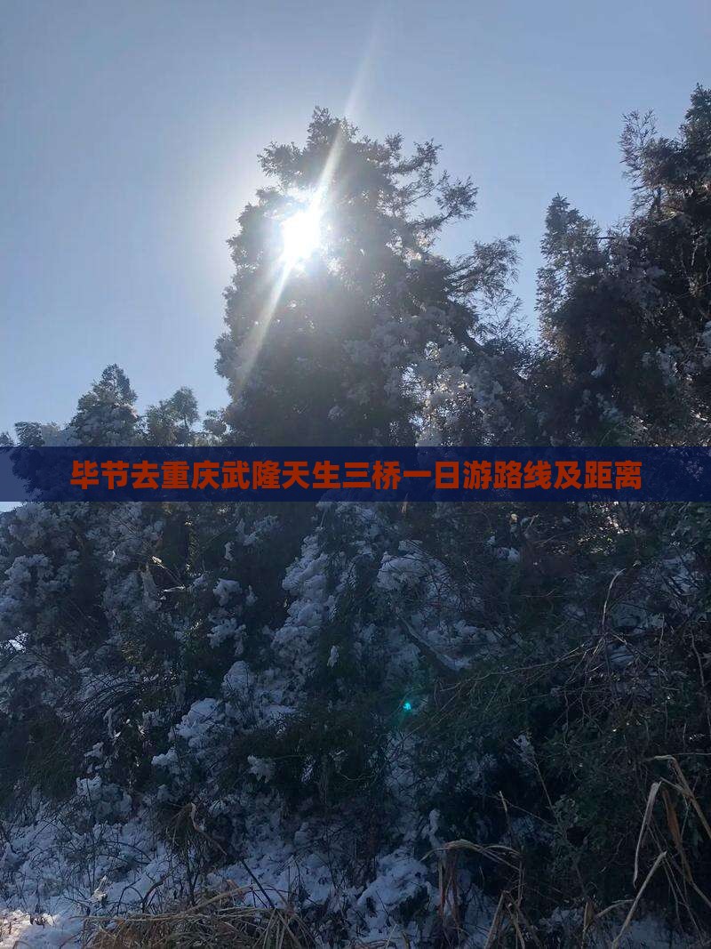 毕节去重庆武隆天生三桥一日