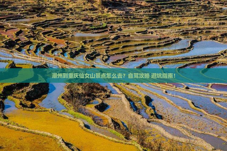 潮州到重庆仙女山景点