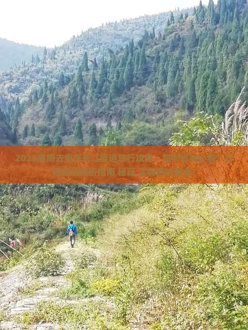 淮南去重庆长江索道旅行社
