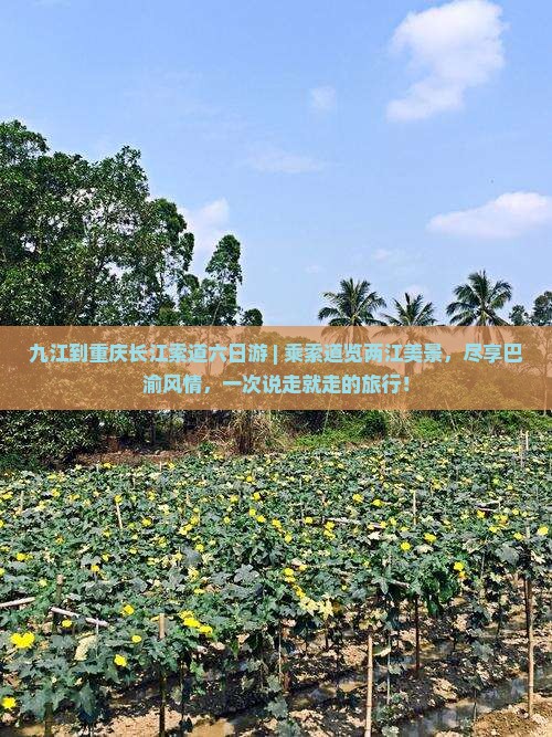 九江到重庆长江索道六日游