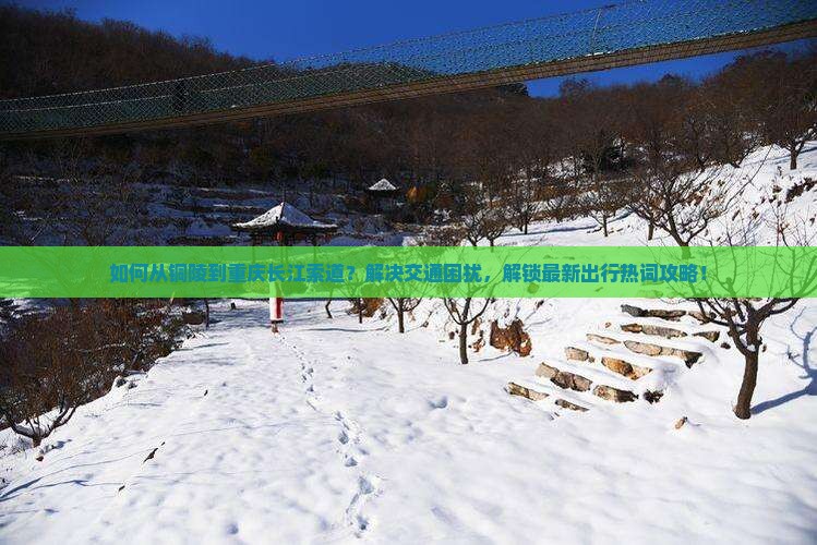如何从铜陵到重庆长江索道？解决交通困扰，解锁最新出行热词攻略！