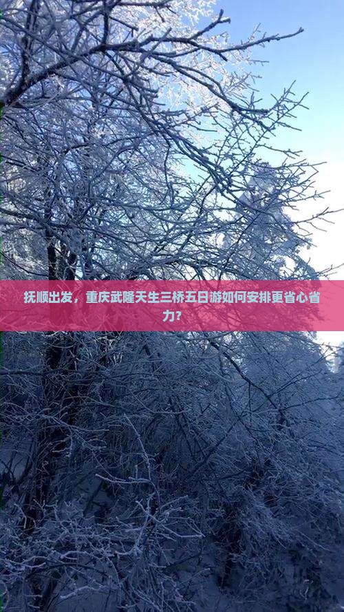 抚顺出发，重庆武隆天生三桥五日游如何安排更省心省力？