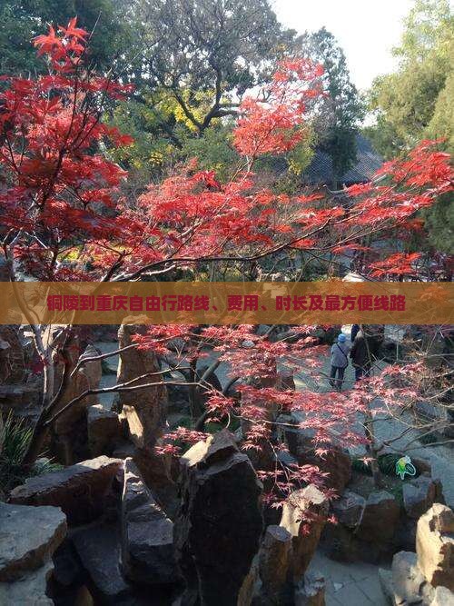 铜陵到重庆自由行路线、费用、时长及最方便线路