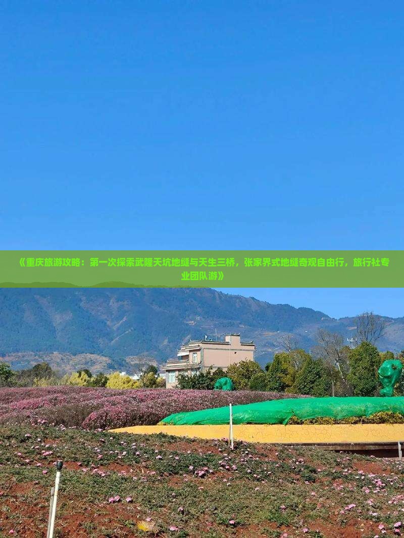 《重庆旅游攻略：第一次探索武隆天坑地缝与天生三桥，张家界式地缝奇观自由行，旅行社专业团队游》
