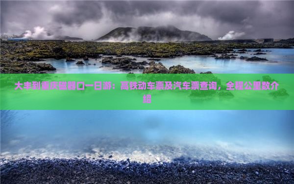 大丰到重庆磁器口一日游：高铁动车票及汽车票查询，全程公里数介绍