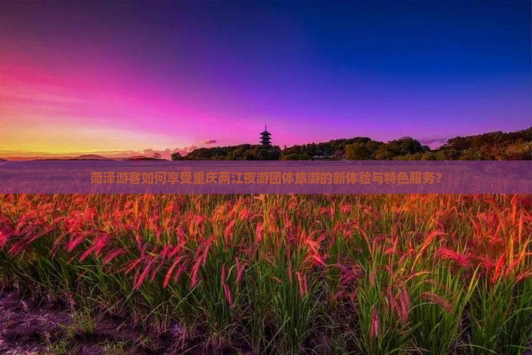 菏泽游客如何享受重庆两江夜游团体旅游的新体验与特色服务？