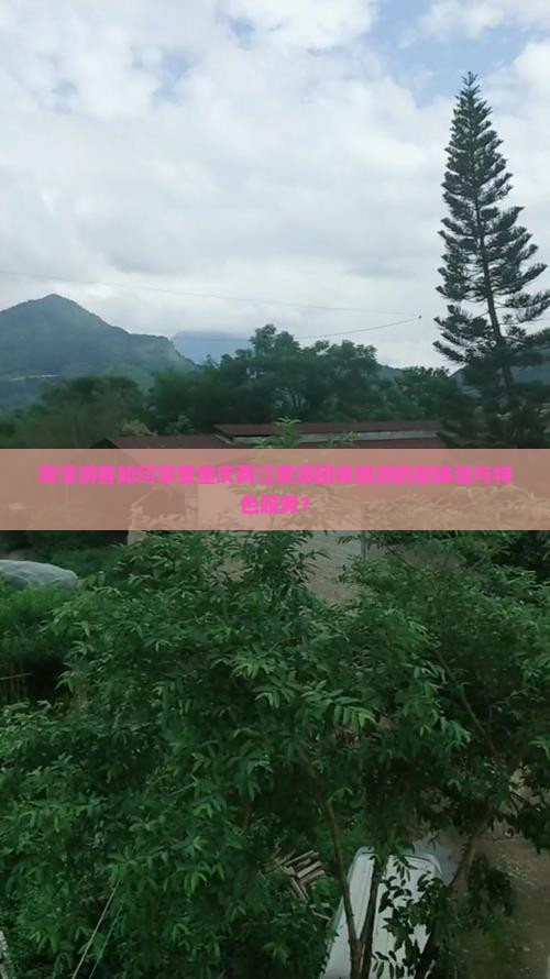 菏泽游客如何享受重庆两江夜游团体旅游的新体验与特色服务？