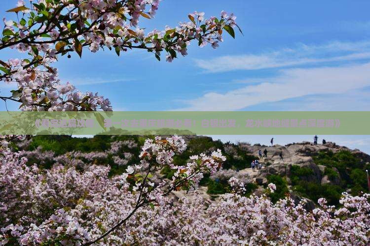 《看完这篇攻略，第一次去重庆旅游必看！白银出发，龙水峡地缝景点深度游》