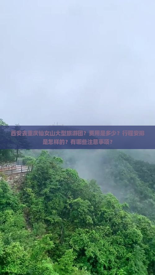 西安去重庆仙女山大型旅游团？费用是多少？行程安排是怎样的？有哪些注意事项？