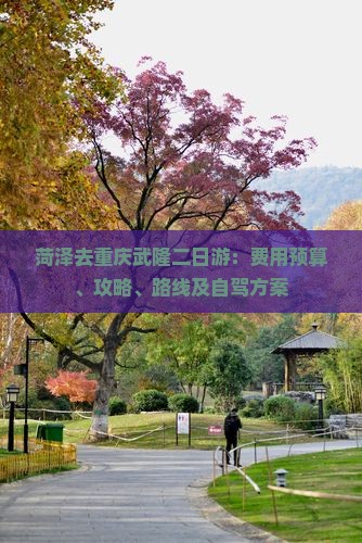 菏泽去重庆武隆二日游：费用预算、攻略、路线及自驾方案