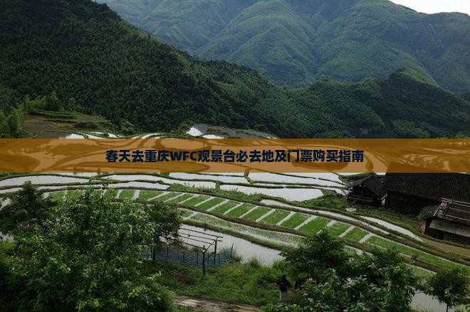 春天去重庆WFC观景台必去地及门票购买指南