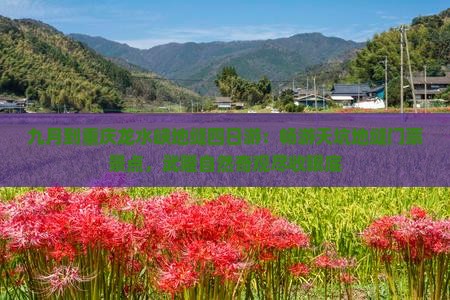 九月到重庆龙水峡地缝四日游：畅游天坑地缝门票景点，武隆自然奇观尽收眼底