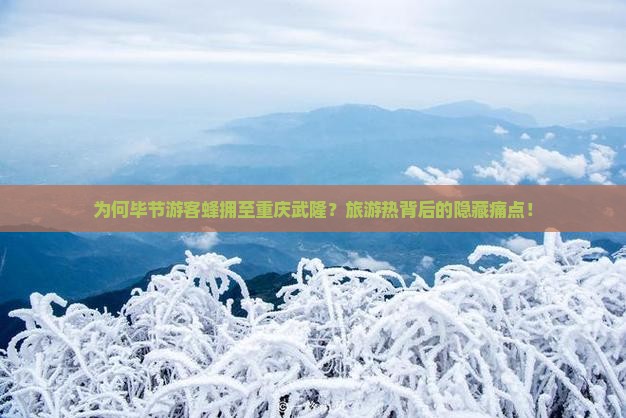 为何毕节游客蜂拥至重庆武隆？旅游热背后的隐藏痛点！
