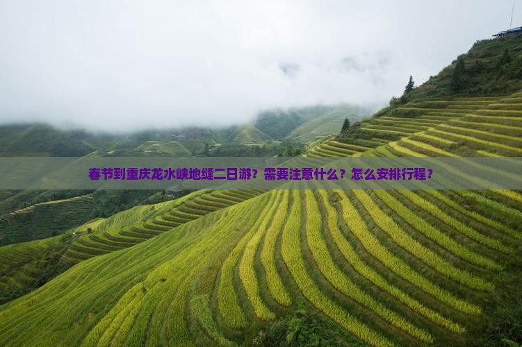 春节到重庆龙水峡地缝二日游？需要注意什么？怎么安排行程？