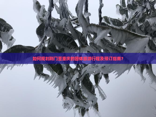 如何规划荆门至重庆的团体旅游行程及预订指南? 如何规划荆门至重庆的团体旅游行程及预订指南?