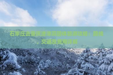 石家庄去重庆渣滓洞团体旅游攻略：路线、交通及费用详解