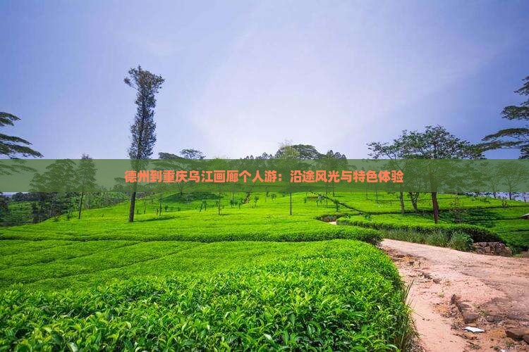 德州到重庆乌江画廊个人游：沿途风光与特色体验