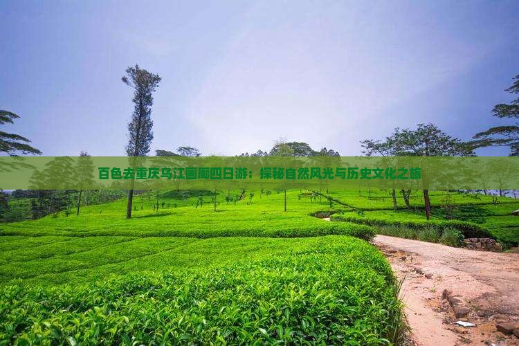 百色去重庆乌江画廊四日游：探秘自然风光与历史文化之旅