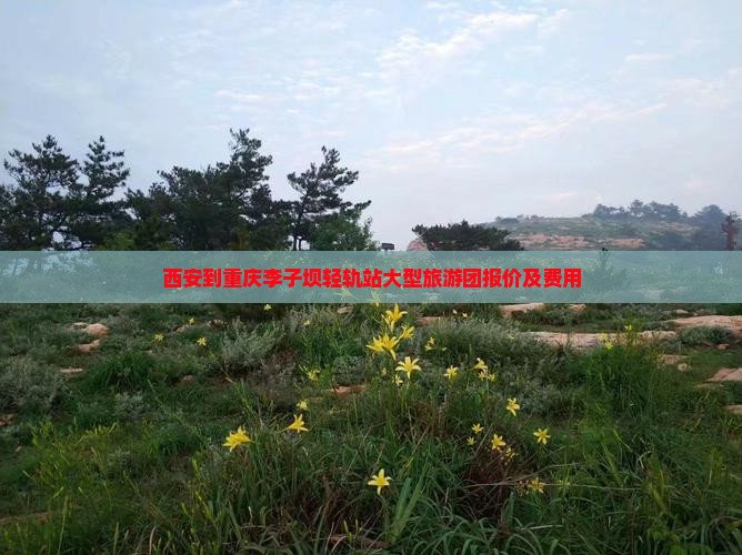 西安到重庆李子坝轻轨站大型旅游团报价及费用