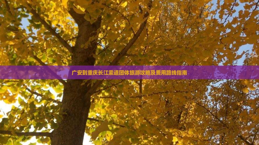 广安到重庆长江索道团体旅游攻略及费用路线指南