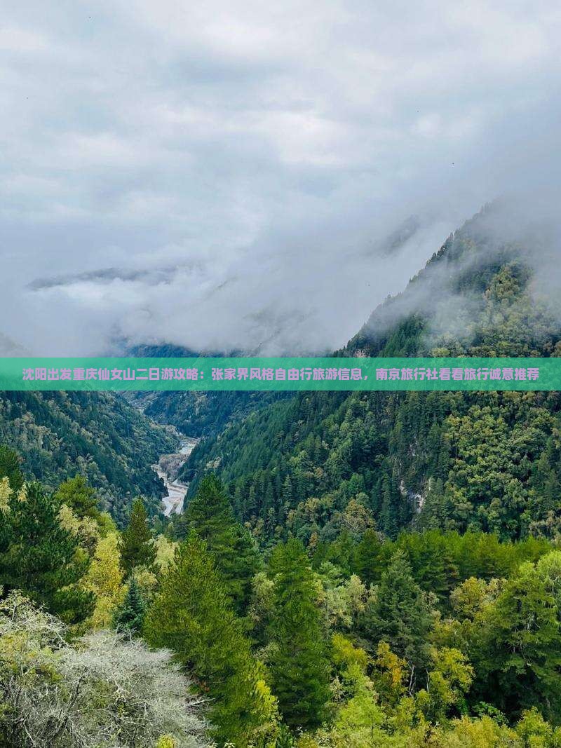 沈阳出发重庆仙女山二日游攻略：张家界风格自由行旅游信息，南京旅行社看看旅行诚意推荐