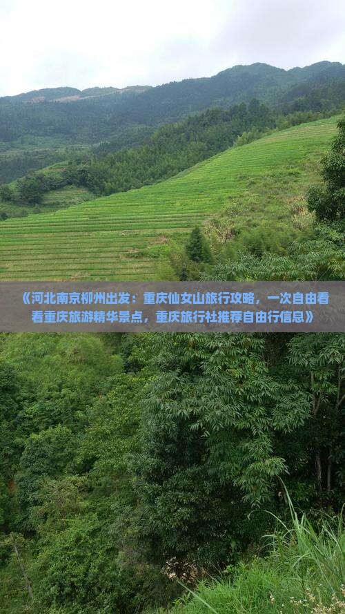 《河北南京柳州出发：重庆仙女山旅行攻略，一次自由看看重庆旅游精华景点，重庆旅行社推荐自由行信息》