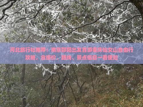 河北旅行社推荐：南京邵阳出发首游重庆仙女山自由行攻略，含报价、路线、景点信息一看便知
