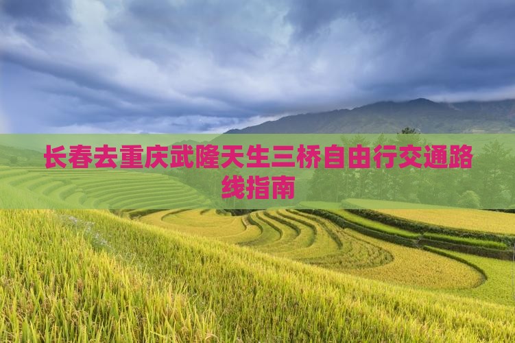 长春去重庆武隆天生三桥自由行交通路线指南